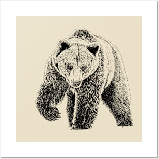 Bear Posters and Art